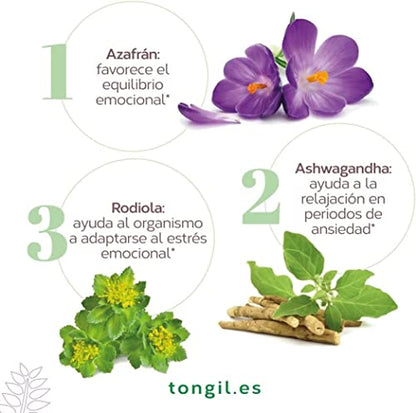 Nivelansi 80 Cápsulas con Ashwagandha y Rhodiola, Azafrán, 5HTP, Griffonia, Melisa, Vitamina B6 | Tensión Nerviosa y Ansiedad | Fórmula Equilibrada | Ansiedad Pastillas Naturales TONGIL