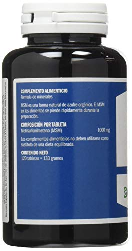 MSM 1000 MG 120 COMP