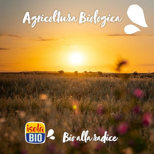 ISOLA BIO - Pack de 6 Unidades de 1 L de Bebida Ecológica Vegetal de Arroz