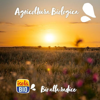 ISOLA BIO - Pack de 6 Unidades de 1 L de Bebida Ecológica Vegetal de Arroz
