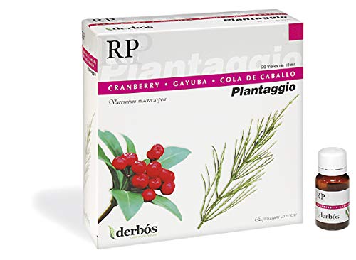 Rp- Plantaggio