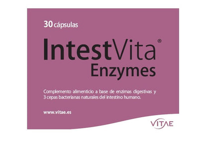 Vitae IntestVita Enzymes 30 cápsulas | Enzimas digestivas y probióticos | Combatir problemas digestivos | Acidez | Malas digestiones | Gases | Cuidado y salud digestiva