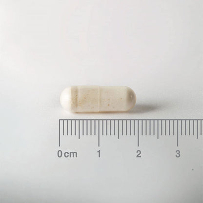 Lamberts Acidophilus Extra 10-60 Cápsulas