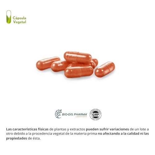 Nature Essential | Vissiosen Complex 310 mg | con Azafrán, Luteína, Astaxantina y Zinc | 30 Cápsulas