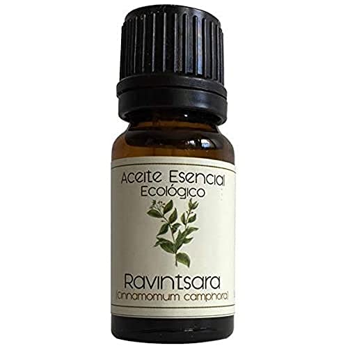 Labiatae Aceite Esen. Ravinsara (Cinnamomum Camphora) 12 Ml 300 g