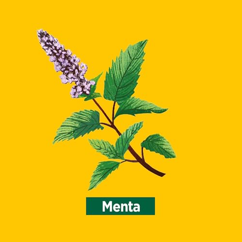 Ricola Caramelos - Stick 31.5 g, Sabor Menta Fuerte