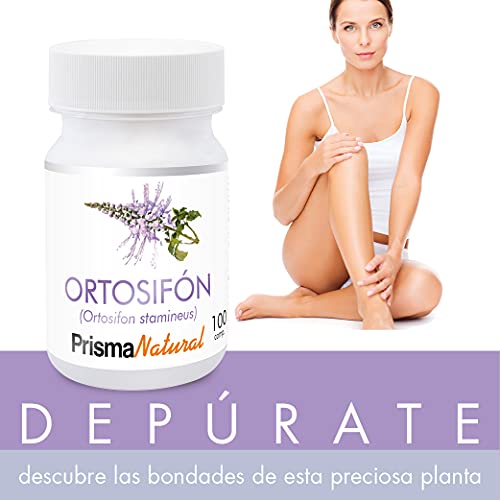 Prisma Natural Ortosifon 500mg - Comprimidos, 100 Unidad