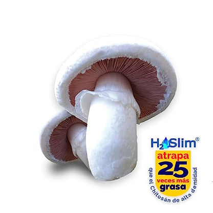 Novadiet - LIPOATRAP Cápsulas con H2OSlim® y Pimienta Negra - Control de Peso, Regulación Lípidos - Apoyo Sobrepeso, Obesidad, Equilibrio Saludable para tu Cuerpo - 30 Cápsulas