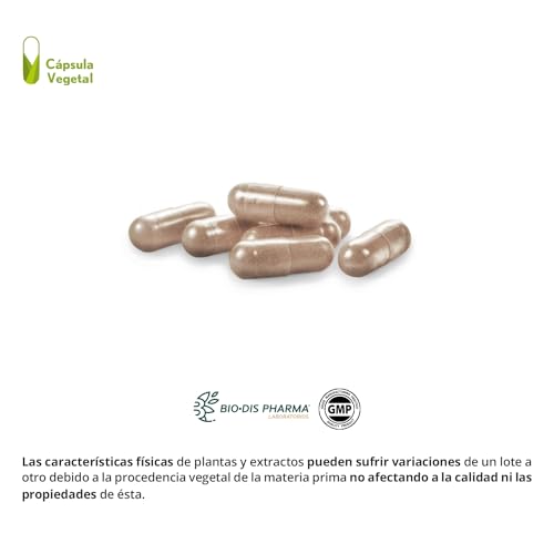 Nature Essential | Reishi 2.000 mg | Suplemento Alimenticio con Uña de Gato y Vitamina C | Favorece las Defensas | 30 Cápsulas Vegetales