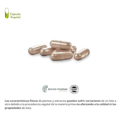 Nature Essential | Reishi 2.000 mg | Suplemento Alimenticio con Uña de Gato y Vitamina C | Favorece las Defensas | 30 Cápsulas Vegetales