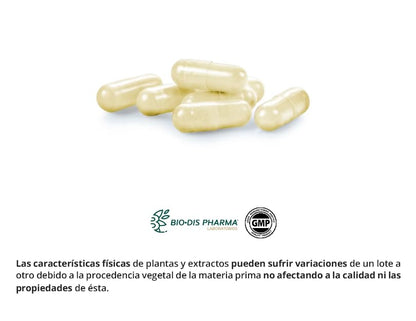 Nature Essential | Cardo Mariano con Extracto Seco | 200 mg | 60 Cápsulas | Favorece la Detoxificación del Hígado