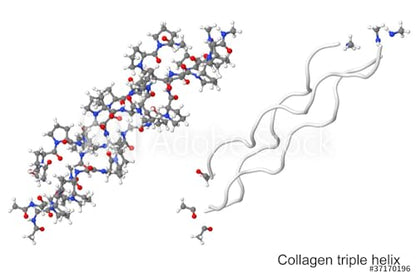 CondroArtil® con Colágeno UC-II® - 30 Cápsulas - Ayuda a Fortalecer los Huesos y Cartílagos - Contribuye a la Formación y Mantenimiento del Tejido Conectivo - Con Vitaminas C, D3 y K2-100% Natural