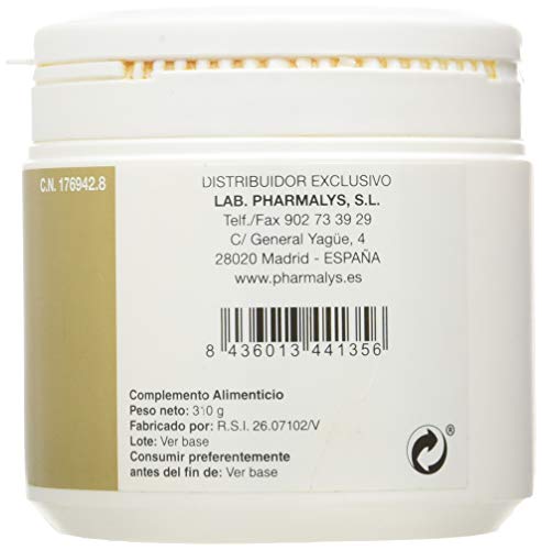 Ribosan 310 gr En Polvo