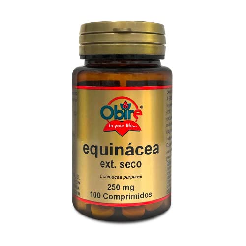 OB_Echinacea