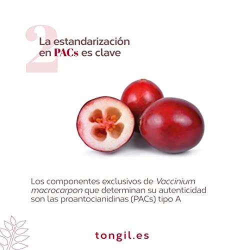 Cranberry Complex Estado Puro - Complemento Alimenticio de Arándano Rojo Americano con 9 cepas de probióticos, fibra prebiótica, D-manosa y Vitamina C - 30 Cápsulas Veganas de Tongil