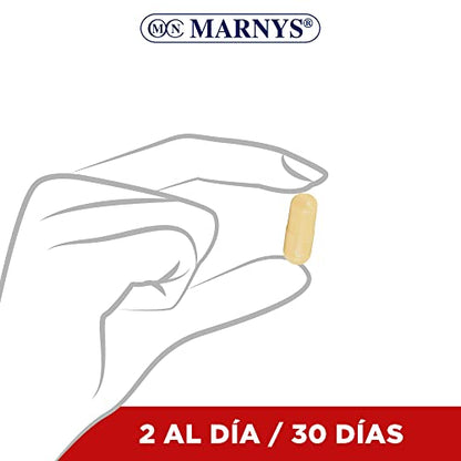 Maca Andina BIO - Macamar - Energía, vitalidad y deseo en la mujer - Para combatir el cansancio y la fatiga - 60 cápsulas vegetales