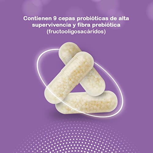 NEO | Probiotic Complex | 15 Cápsulas | Con Microgránulos a Base de Probióticos y Prebióticos | Mejora las Funciones Digestivas | Ayuda al Bienestar Intestinal