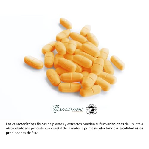 Nature Essential | Glucosamina + Condroitina + MSM 1000 mg | 60 comprimidos | Participa en la Formación y Reparación de los Cartílagos | Suplemento Alimenticio | 60 Cápsulas