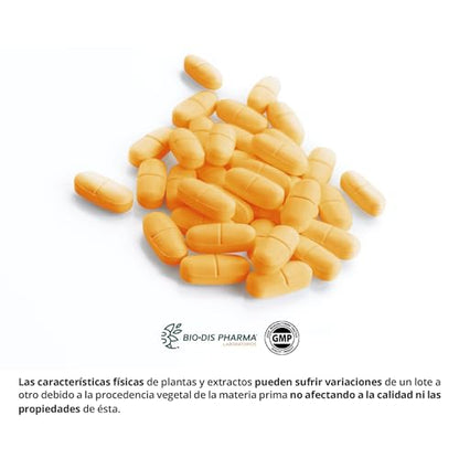 Nature Essential | Glucosamina + Condroitina + MSM 1000 mg | 60 comprimidos | Participa en la Formación y Reparación de los Cartílagos | Suplemento Alimenticio | 60 Cápsulas