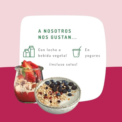 El Granero Integral - Muesli Frutos Rojos Sin Gluten Bio - 375 g - Fuente de Fibra y Nutrientes Esenciales - Mejora la Salud Intestinal - Ideal para el Desayuno - Apto para Veganos