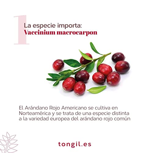 Cranberry Complex Estado Puro - Complemento Alimenticio de Arándano Rojo Americano con 9 cepas de probióticos, fibra prebiótica, D-manosa y Vitamina C - 30 Cápsulas Veganas de Tongil