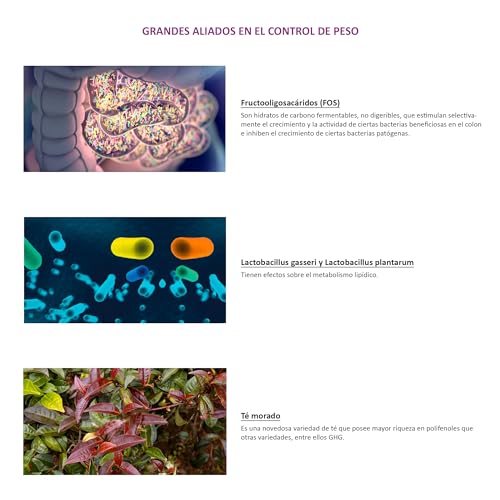 Novadiet - CONTORNIA Cápsulas con L. Gasseri y L. Plantarum - Control de Peso, Equilibrio Digestivo y Flora Intestinal - Microbiota Saludable - Ayuda en Sobrepeso, Obesidad y Adelgazar - 15 Cápsulas