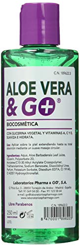 GEL DE ALOE VERA & GO 250 ML