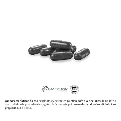 Nature Essential | Carbón Vegetal Activado | 1500 mg | 60 Cápsulas | Anís Verde, Tomillo, Manzanilla e Hinojo | Disminuye Gases Intestinales e Hinchazón Abdominal