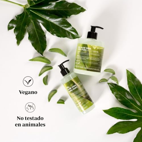 Ebers Aloe Vera Gel 100% Puro 250 Ml con dosificador - Excelente hidratante Rostro y Cuerpo, Aftersun, Depilación y Quemaduras.