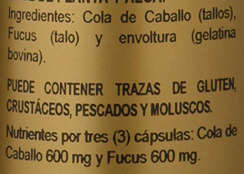 COLA CABALLO + FUCUS