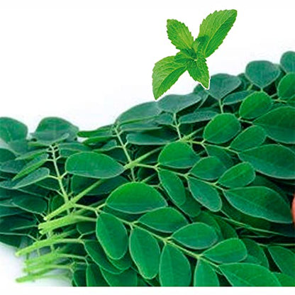 Moringa Hoja Seca 100 gr Endulzado