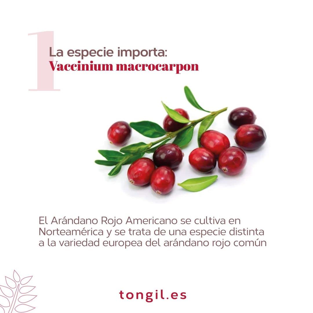 Arándano Rojo Americano 41.900 mg por cápsula - Fórmula Potente para Cistitis - Cranberry 120 PACs de Máxima Concentración - 40 cápsulas de Estado Puro