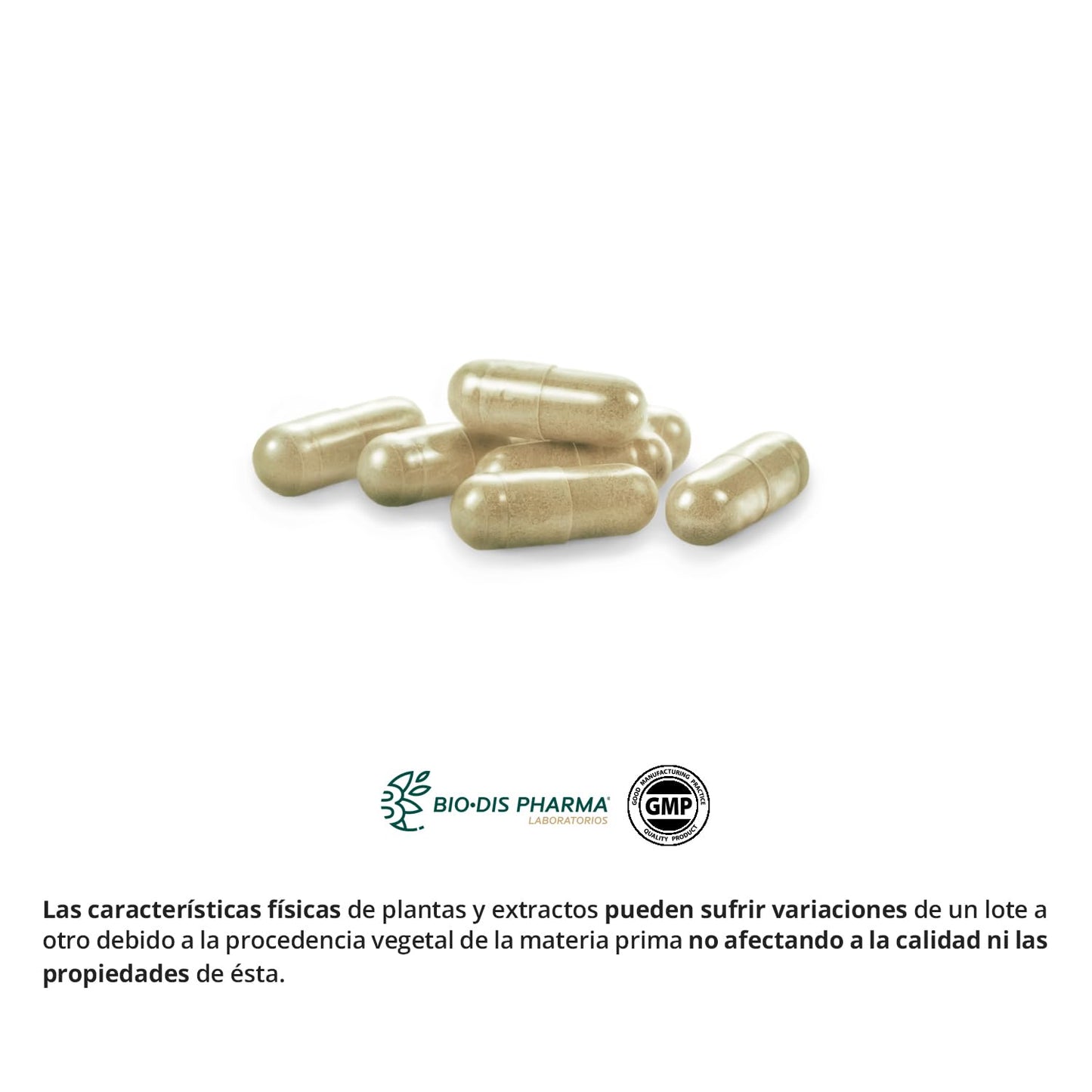 Nature Essential | Café Verde 2800 mg | 60 Cápsulas | Extracto Seco | 45% Ácido Clorogénico | Ideal en Dietas de Adelgazamiento | Ayuda a Aumentar el Efecto Saciante