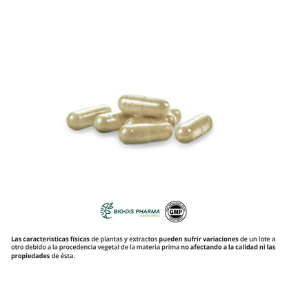 Nature Essential | Café Verde 2800 mg | 60 Cápsulas | Extracto Seco | 45% Ácido Clorogénico | Ideal en Dietas de Adelgazamiento | Ayuda a Aumentar el Efecto Saciante
