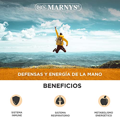 Propolvit 20 viales bebibles - Para las Defensas y Energía - Con Jalea Real, Propóleo purificado, Equinácea y vitamina C