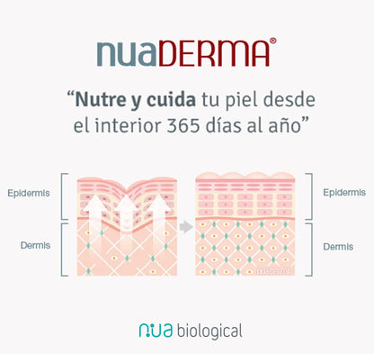 Nua Biological - NuaDerma, Complemento Alimenticio con Hidroxitirosol, Nutroxsun, Vitaminas y Minerales para Proteger y Nutrir la Piel del Envejecimiento - 30 cápsulas (858mg)