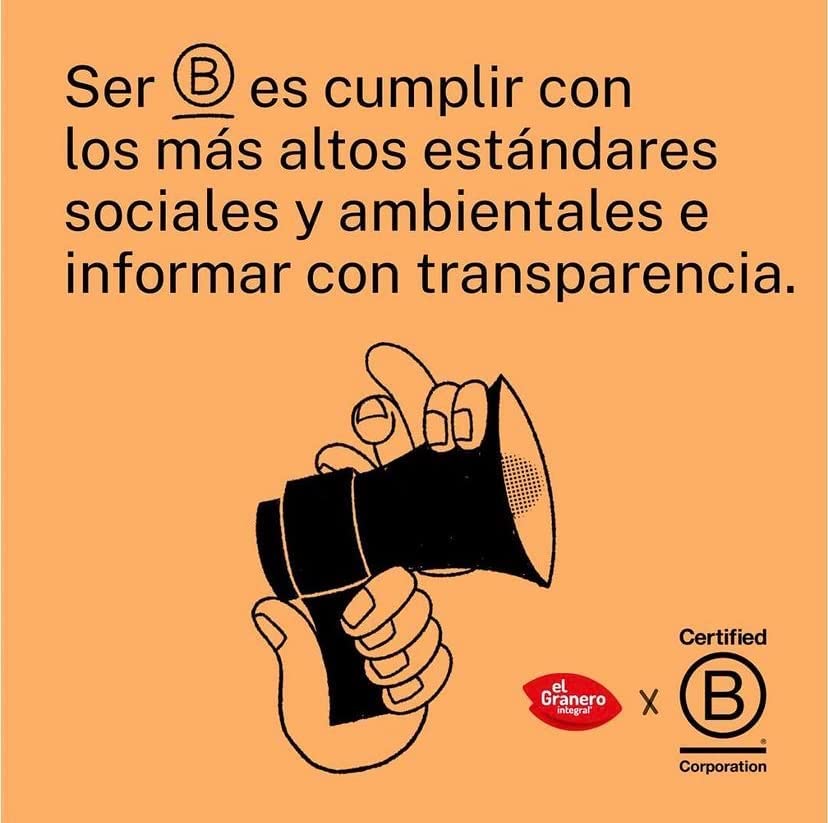 El Granero Integral - Psyllium BIO - 400 g - Superalimento Vegano - Alto Contenido en Fibra - Contribuye al Normal Funcionamiento Intestinal y Digestivo - Ayuda a Controlar el Peso