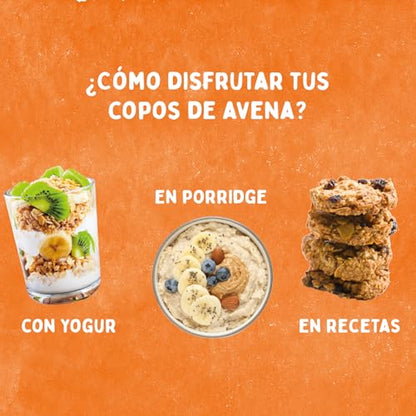 EL GRANERO INTEGRAL Copos Avena Bio