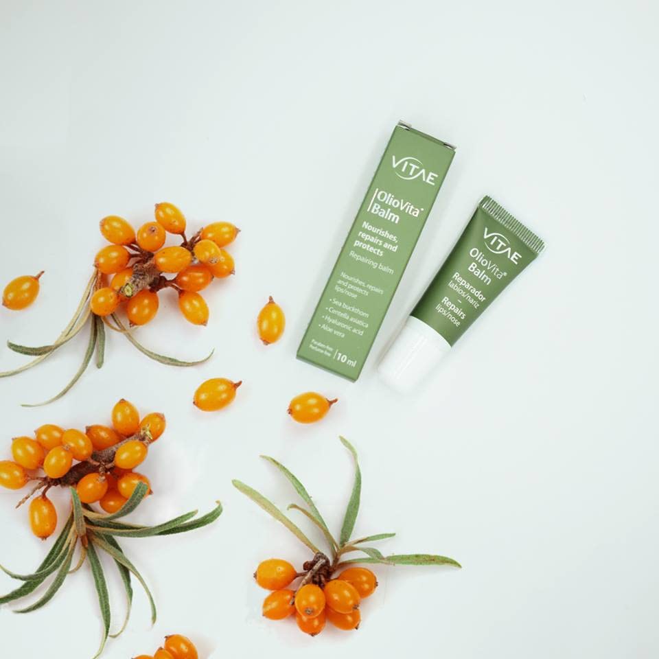 Vitae Oliovita Balm 10ml | Bálsamo labial hidratante | Aceite de espino amarillo, ácido hialurónico, aloe vera y centella asiática | Nutre, hidrata y protege