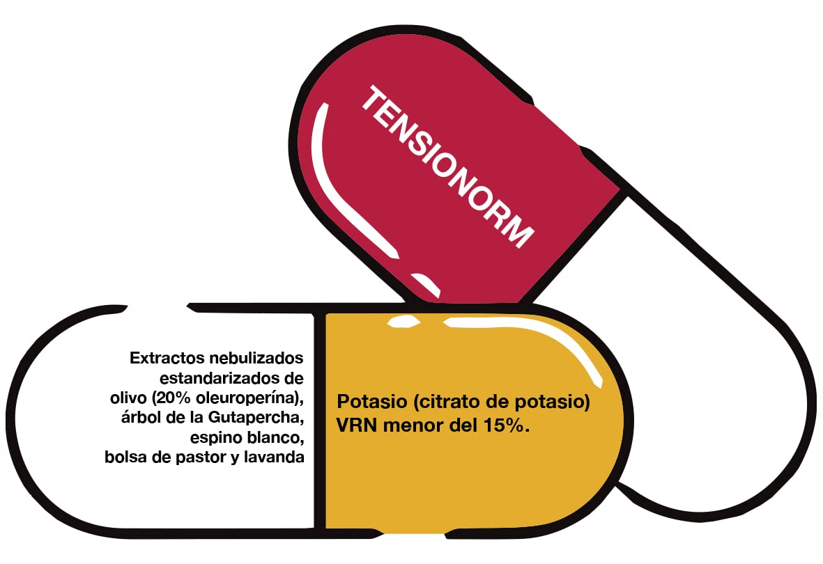 Tensionorm - 30 cápsulas Herbetom Internacional - Bioserum