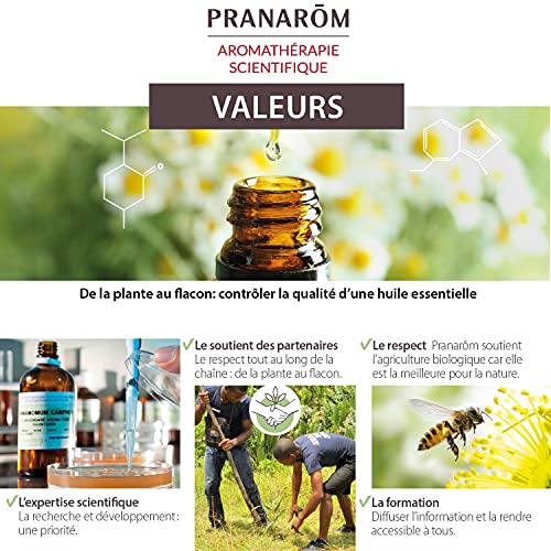 Pranarôm - Aceite esencial de Manzanilla