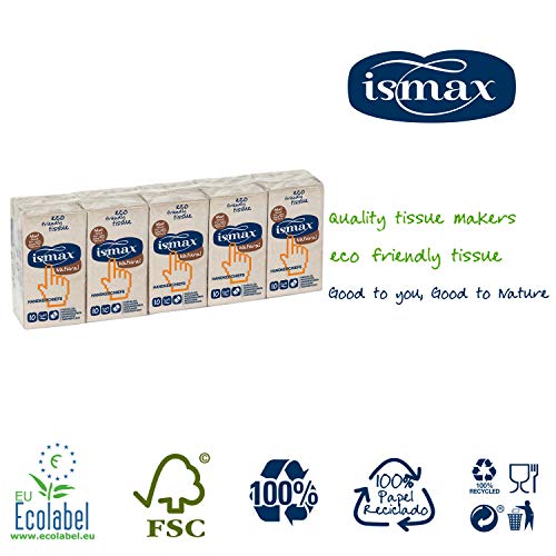 Pañuelos Multiusos Pack 250 Unidades Eco Reciclado - 3 Capas Absorbente Ecologico EXTRA XXL - NO IRRITANTE - Caja de 25 Packs de 10x10 Pañuelitos
