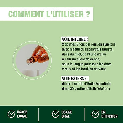 PRANARÔM - Ravintsara - Aceite esencial quimiotipado - Confort respiratorio y defensas naturales - 100% puro y natural - HETC - 10 ml