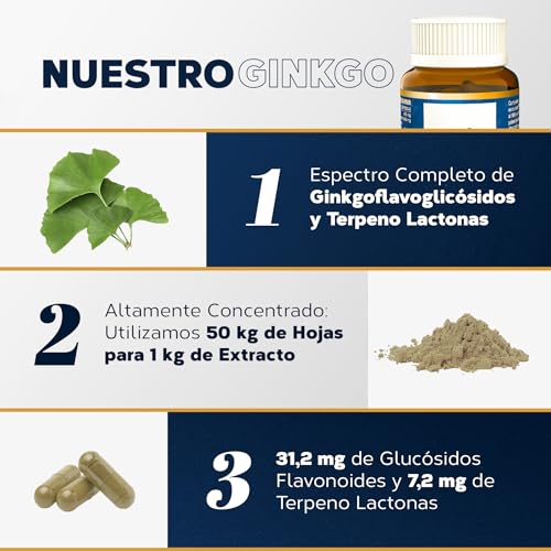 Ginkgo Biloba Estado Puro 6500mg | Extracto Estandarizado y Máxima Concentración | 24% de Flavonoides y 6% de Terpenos | Memoria y Concentración + Circulación | 40 Cápsulas de Tongil