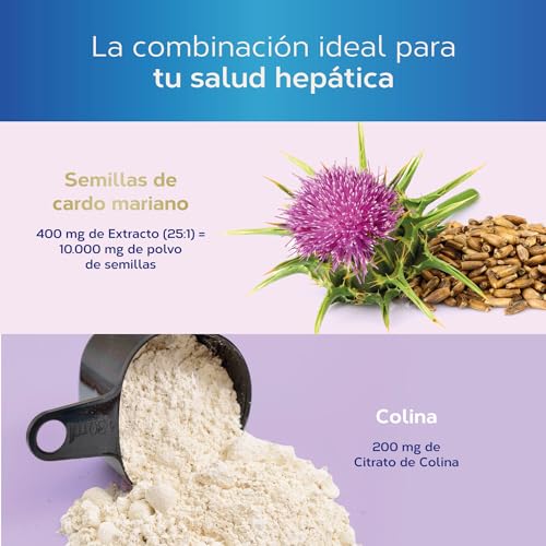 Cardo Mariano Estado Puro 10000 mg | Extracto de Semillas Concentrado 25:1 con 80% Silimarina y Colina | Apoyo para el Hígado, Limpieza y Detox | 40 Cápsulas de Tongil