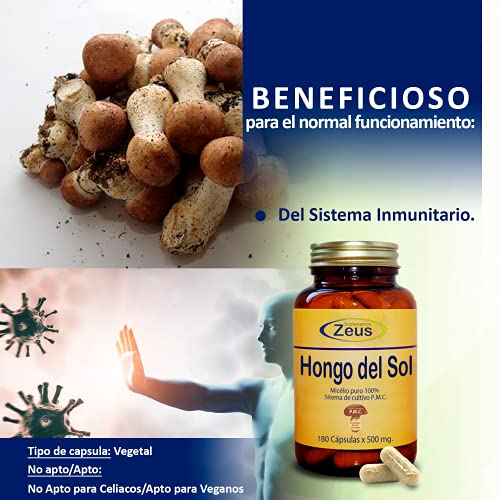 HONGO DEL SOL | Contribuye al funcionamiento normal del sistema inmunitario | Complemento Alimenticio a base de Hongo del Sol y Vitamina C | 100% Vegano | 180 Cápsulas Vegetales