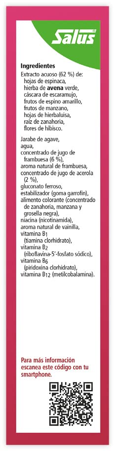 Salus - Floradix Kids Suplemento de Hierro - 250 ml - Reduce el Cansancio y la Fatiga - Contiene Hierro y Vitaminas B1, B2, B6, B12 y C - Apoya el Desarrollo Mental y la Función Cognitiva