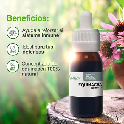 Soria Natural Extracto de Equinácea - Refuerza tus defensas de forma natural - Ayuda al sistema inmunológico - Extracto de Planta 100% Natural Alta Absorción - Botella con 50ml