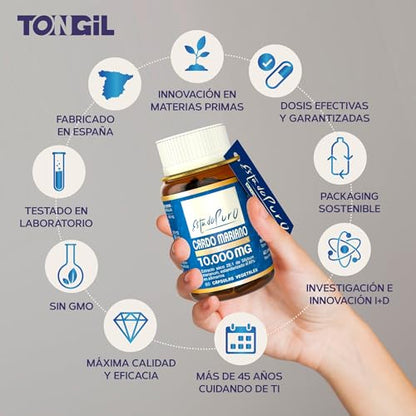 Cardo Mariano Estado Puro 10000 mg | Extracto de Semillas Concentrado 25:1 con 80% Silimarina y Colina | Apoyo para el Hígado, Limpieza y Detox | 40 Cápsulas de Tongil
