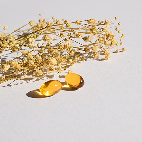 Vitae Equazen Act 60 cápsulas | Fórmula única de Omega 3 y 6 | Alto poder nutricional (EPA, DHA y GLA) | Atención, concentración, memoria y rendimiento